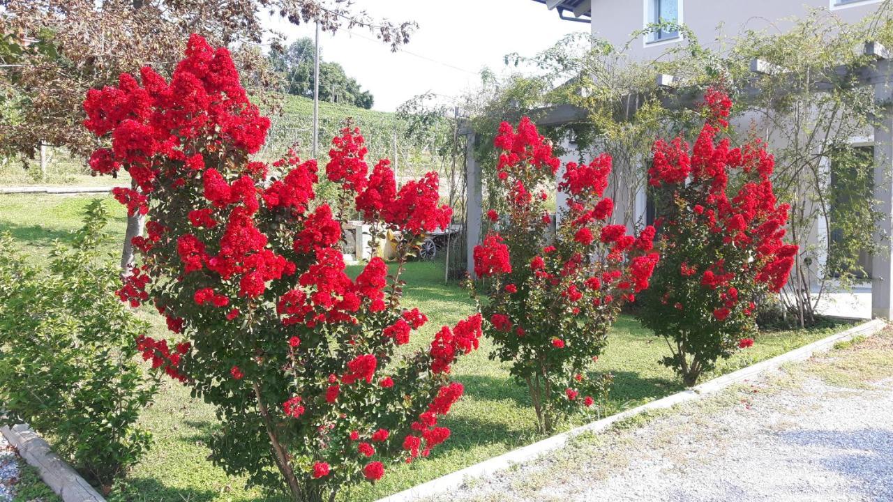 라모라 Casa Nalin 아파트 외부 사진